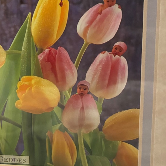 Vintage Anne Geddes Babies in Tulips 8x10 Wall Hanging Real Glass Wood Frame EUC - Picture 3 of 7